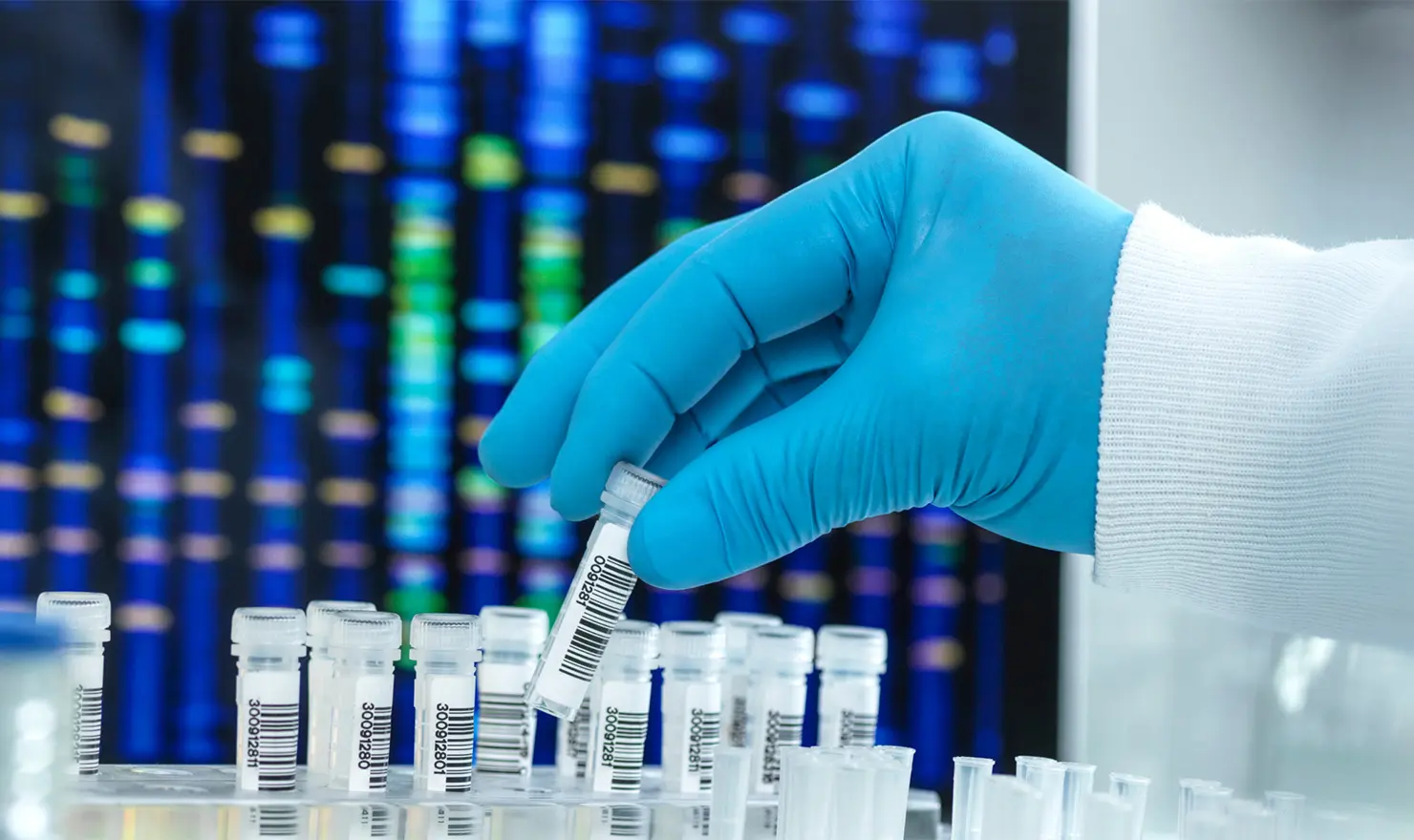 Genetik Test